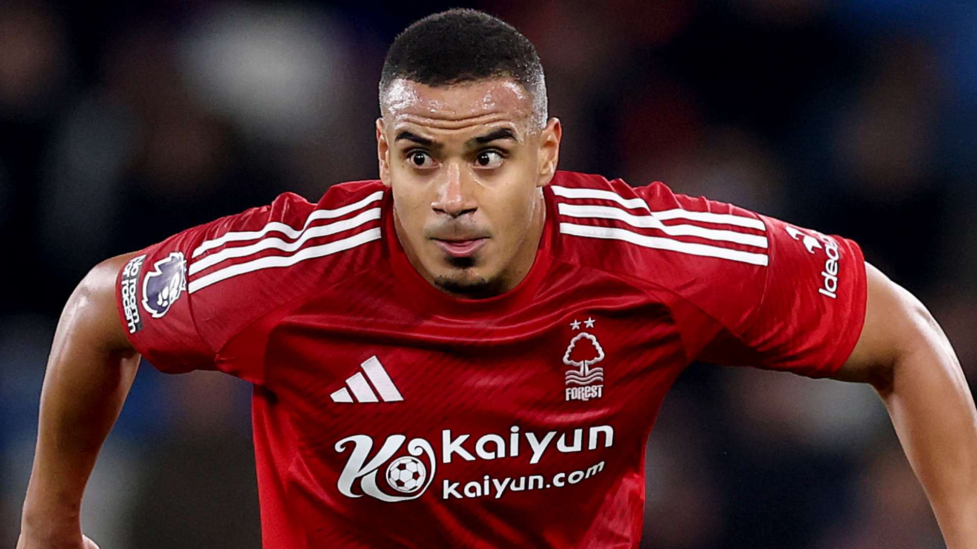 来在国际比 来在国际比